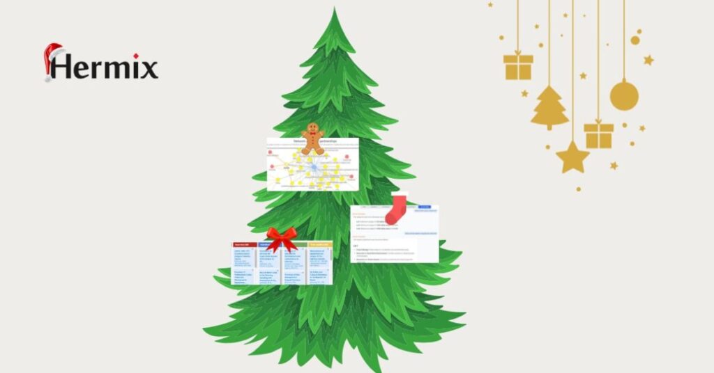 December-brings-gifts-Hermix-brings-public-contracts - Hermix in review 2024
